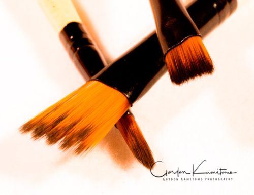 3 Paint Brushes